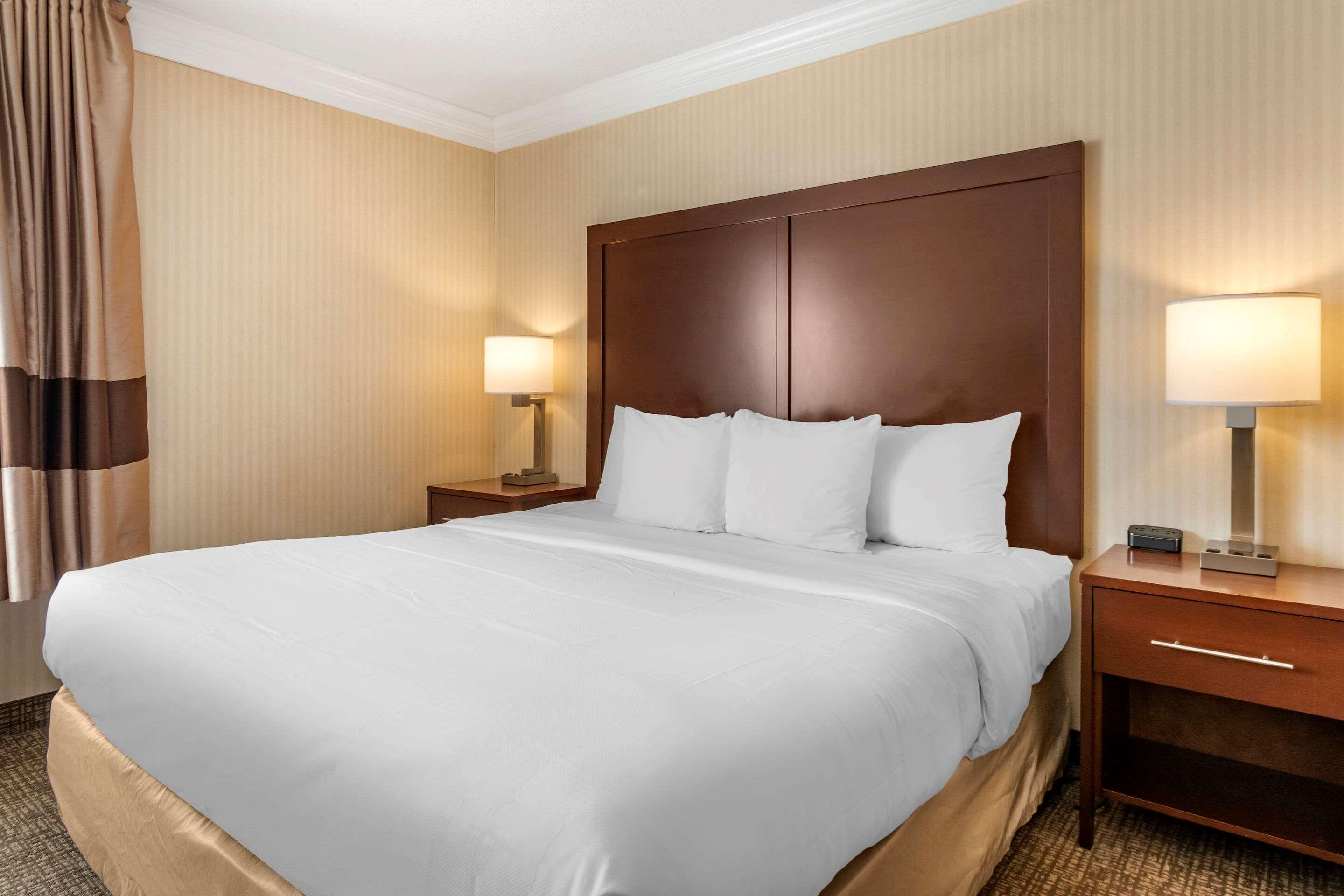 Comfort Downtown Hotel